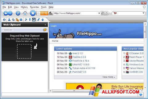 Screenshot Flock für Windows XP