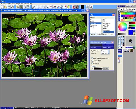 Screenshot Pixia für Windows XP