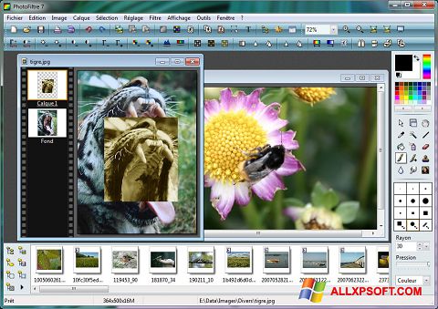 Screenshot PhotoFiltre für Windows XP