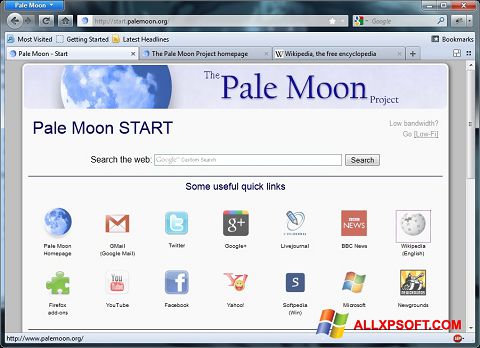 Screenshot Pale Moon für Windows XP