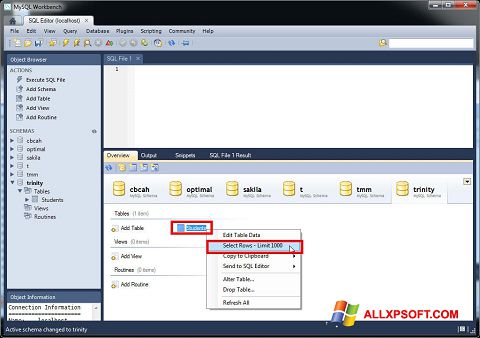 Screenshot MySQL Workbench für Windows XP