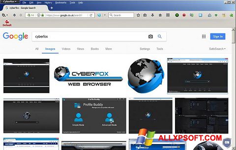 Screenshot Cyberfox für Windows XP