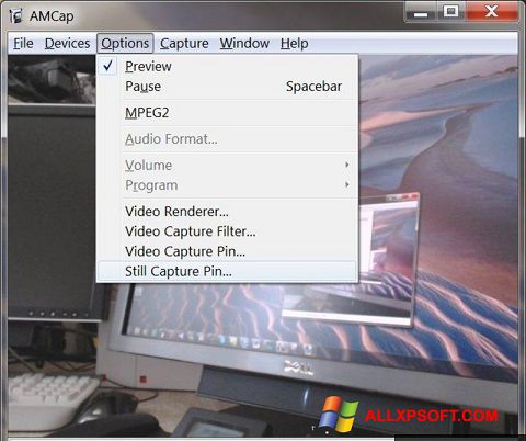 Screenshot AMCap für Windows XP