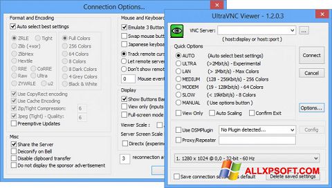 Screenshot UltraVNC für Windows XP