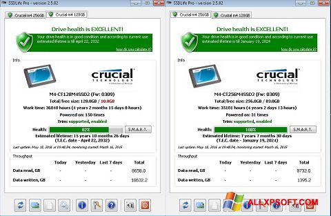 Screenshot SSDLife für Windows XP