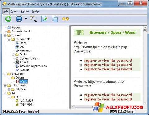 Screenshot Multi Password Recovery für Windows XP