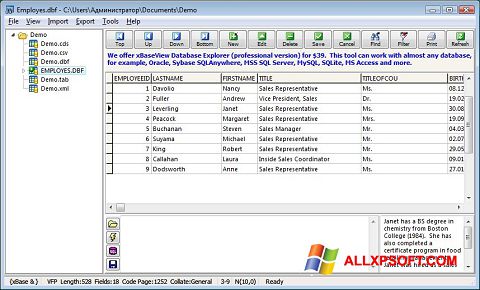 Screenshot DBF Viewer für Windows XP