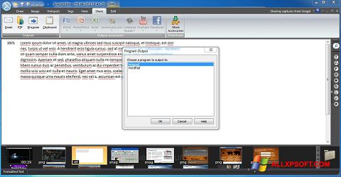 Screenshot Snagit für Windows XP