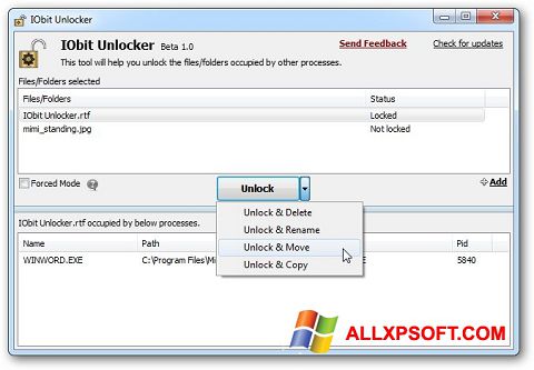 Screenshot IObit Unlocker für Windows XP