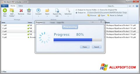 Screenshot PDF Unlocker für Windows XP