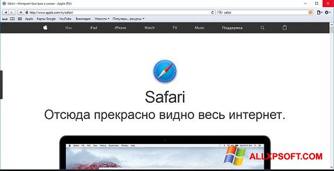 Screenshot Safari für Windows XP