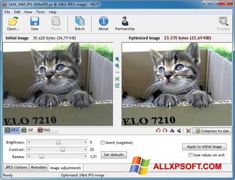 Screenshot RIOT für Windows XP