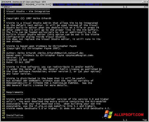 Screenshot Vim für Windows XP