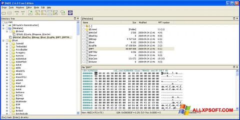 Screenshot DMDE für Windows XP