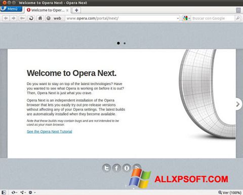 Screenshot Opera Developer für Windows XP
